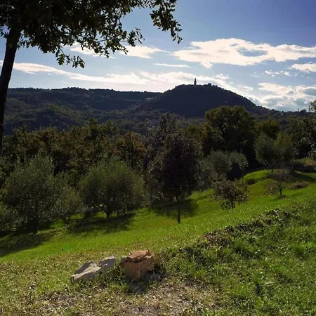 Apartment In With Sea View & Sauna Drenje (Istria)